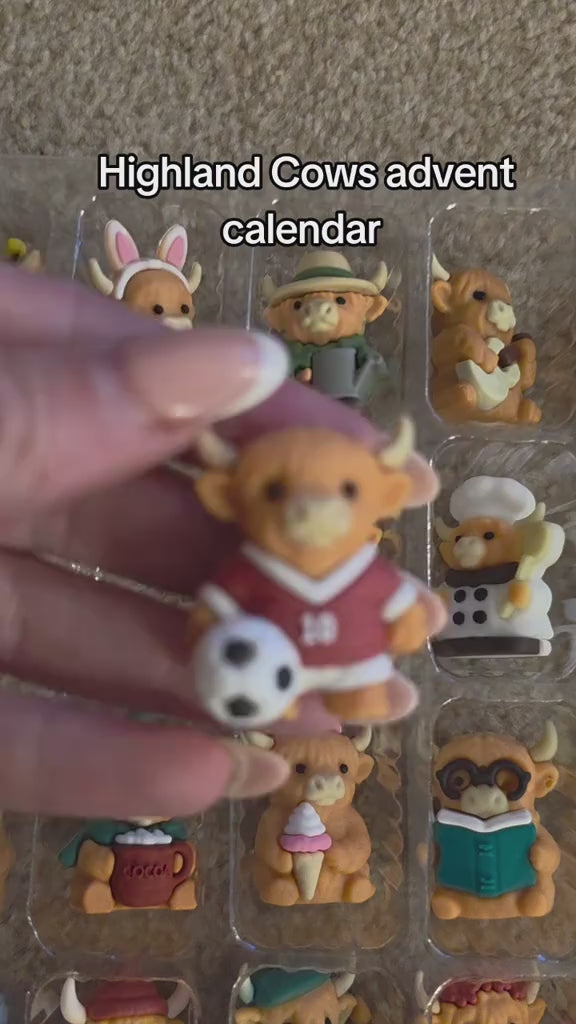 Vidéo
