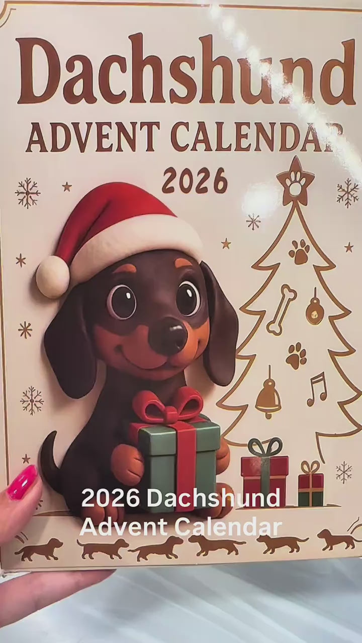 Vidéo